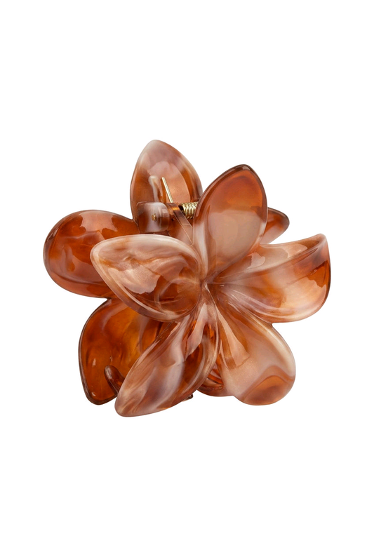 Pince fleur marron blanc
